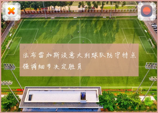 法布雷加斯谈意大利球队防守特点强调细节决定胜负