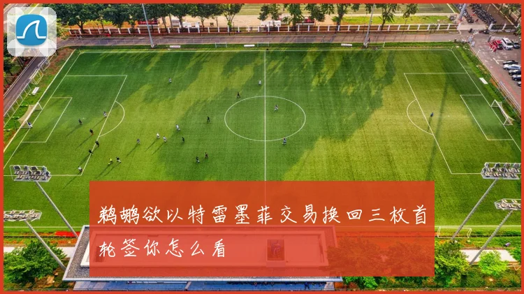 鹈鹕欲以特雷墨菲交易换回三枚首轮签你怎么看